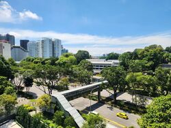 8 Napier (D10), Condominium #501323911